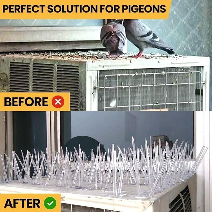 Pigeon Control Spikes (Set of 10)
